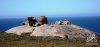 AUS_Kangaroo-Island_Remarkable-Rocks-1024x478.jpg