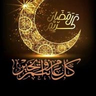 محمد احمد فضل الله