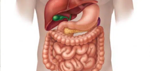 المستشفى الأمريكي تايلاند