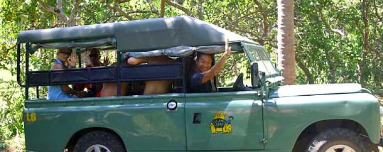 رحلات سفاري بوكيت 