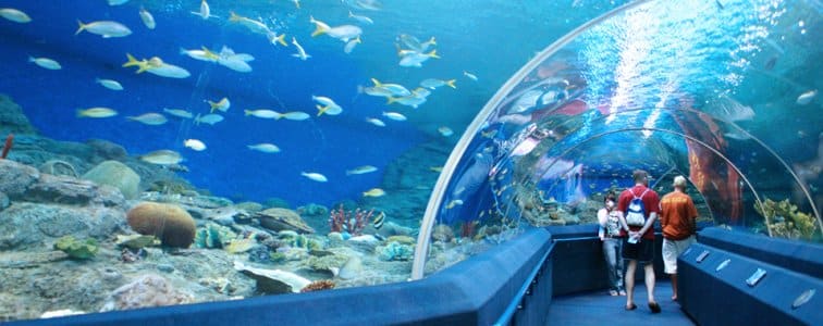 عالم ما تحت الماء باتايا