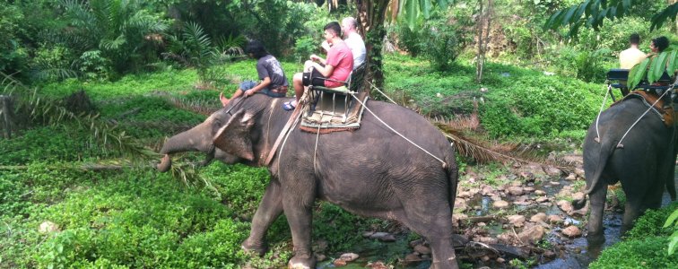 ركوب الأفيال و الشلال في كرابي