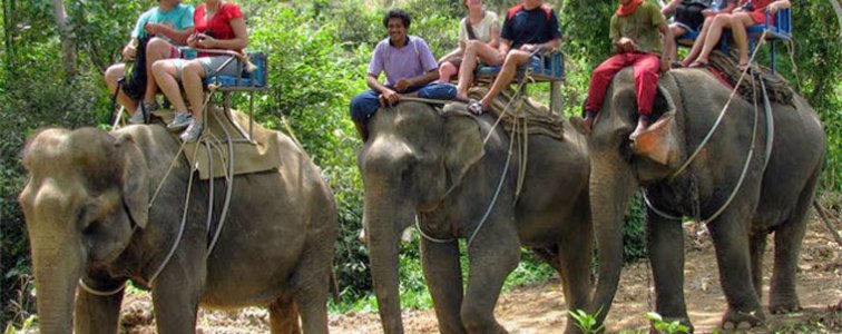 رحلة قوراب الكاياك و ركوب الأفيال في كرابي