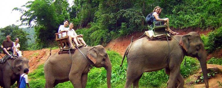 Jungle safari in Chiangmai