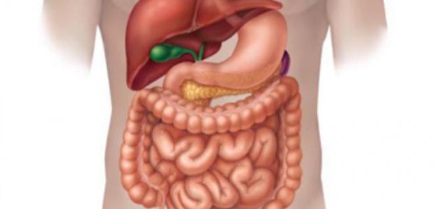 Treating the digestive system and liver