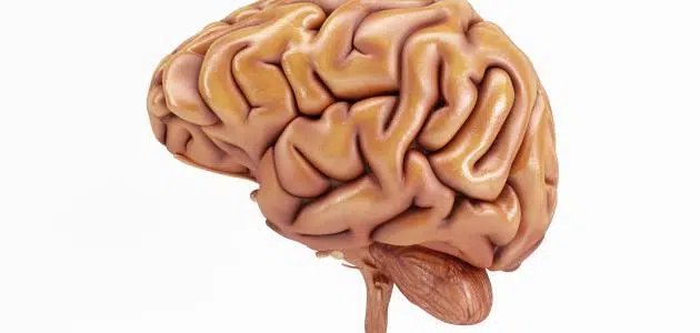 مركز  المخ و الأعصاب في المستشفي الأمريكى في تايلند