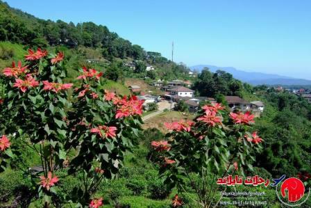 أهم 11 مدينة تاريخية في تايلاند