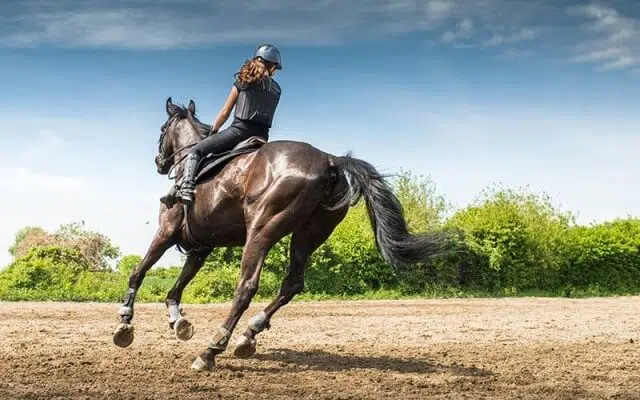 اجمل 13 من الفعاليات السياحية اليومية في بوكيت ، تايلاند