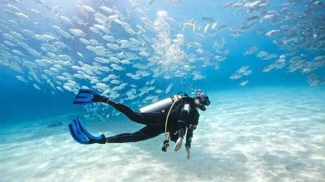 اجمل 13 من الفعاليات السياحية اليومية في بوكيت ، تايلاند